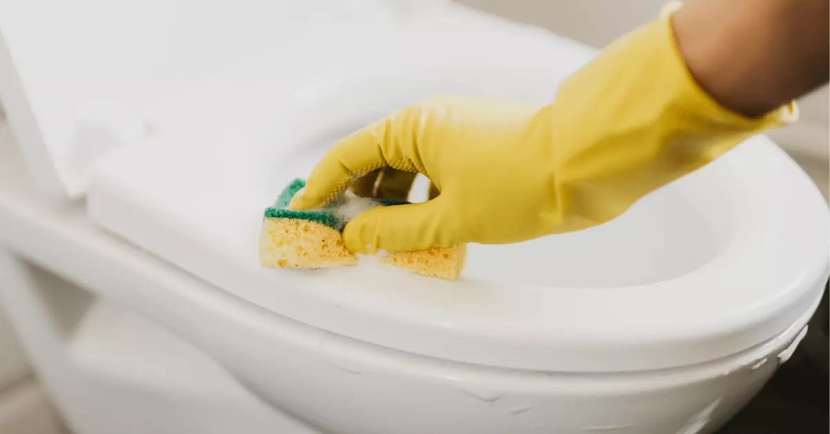 How to Clean a Toilet Bowl Ring? How To Cleanz