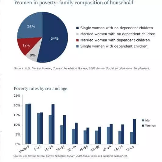 Pie Chart for IELTS Writing Task 1 Essay: Pie and Bar Chart Together (Poverty & Gender)