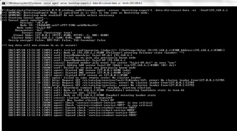 Consul Service Registration And Discovery Example - Best City Photos in Retina