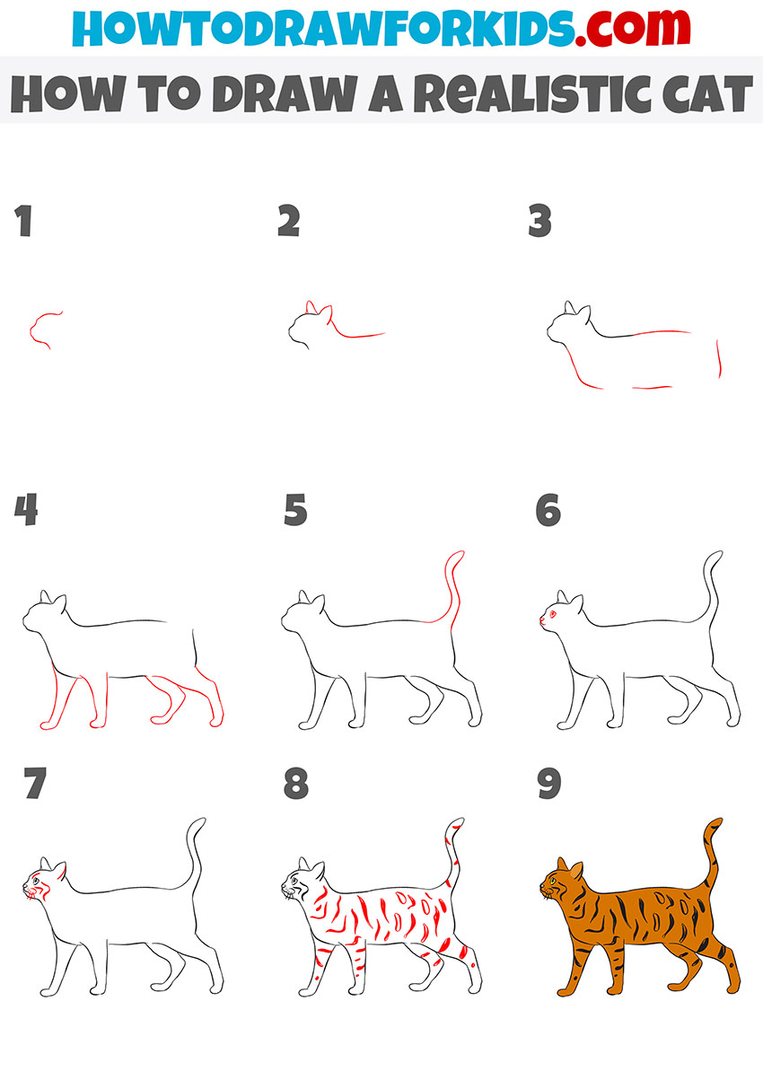 wallpapers Simple Step By Step Realistic Cat Drawing how to draw for kids very easy drawing lessons for kids