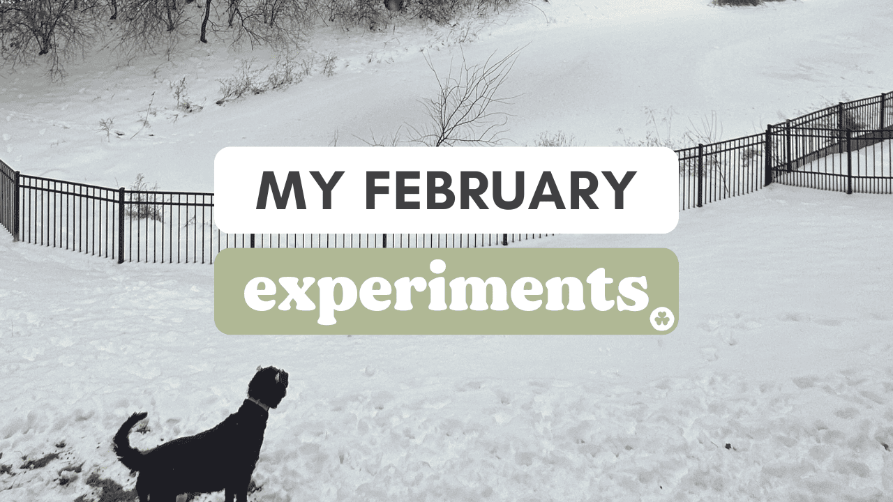 An update on my January goals, and what my February experiments will be