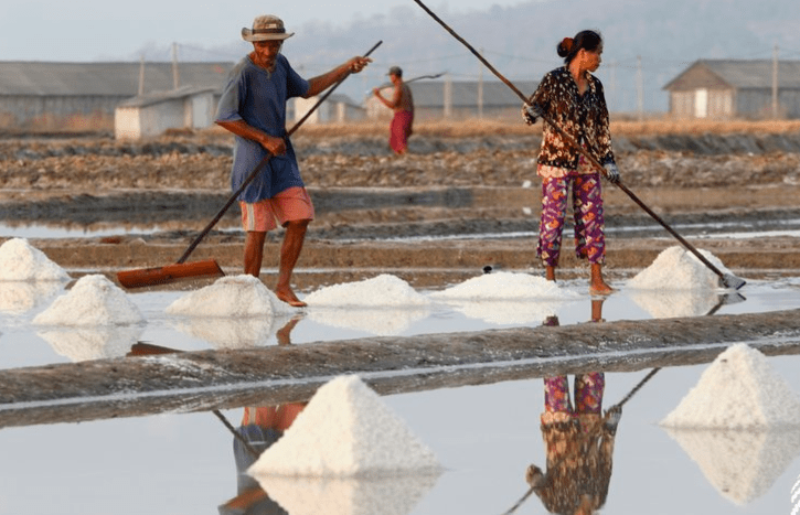 Cambodia's salt creation up in the last year 2024