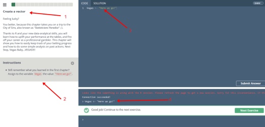 4 - data camp r programming course