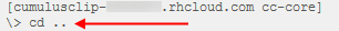 6 - CumulusClip on Openshift