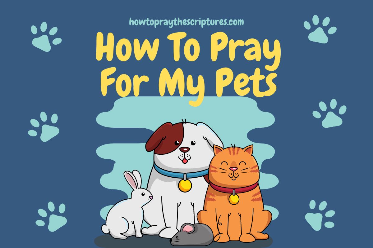 How to pray for my pets
