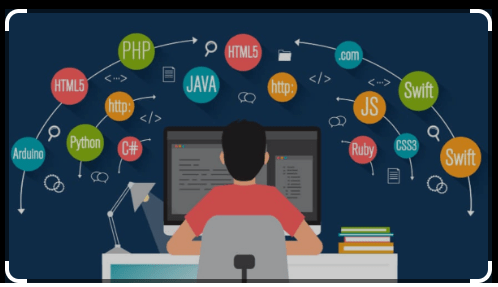 what programming language should i learn in 2024