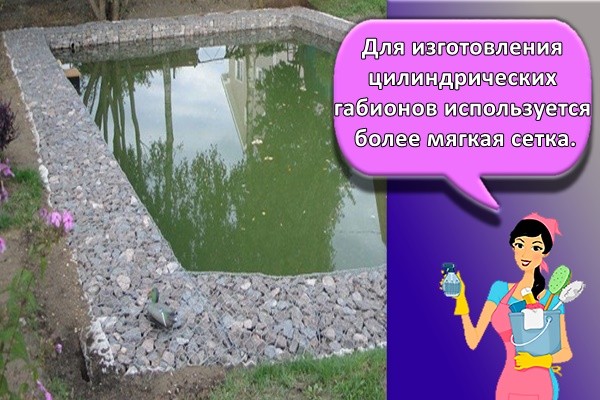 Иллюстрация к материалу «Геосетка и матрасу для укрепления берега. Укрепление берегов пруда: важные нюансы»