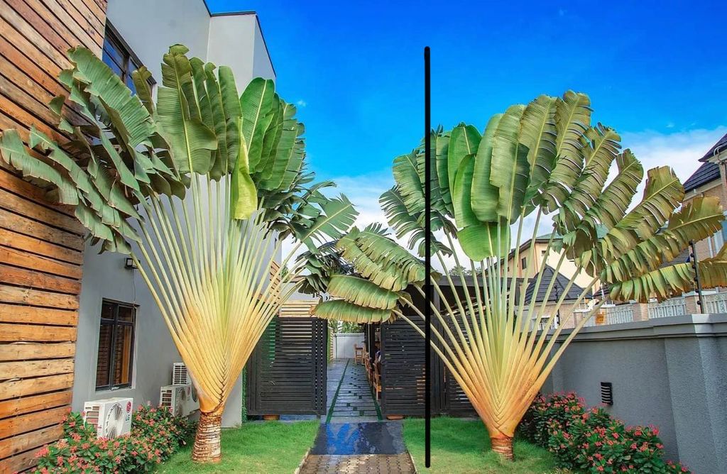 Iris Hotel Abuja - Walk Way