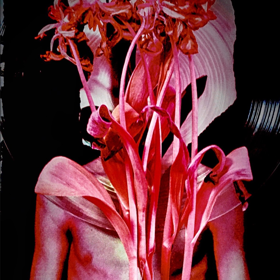 HRF-Rainmaker-Cover-Artwork