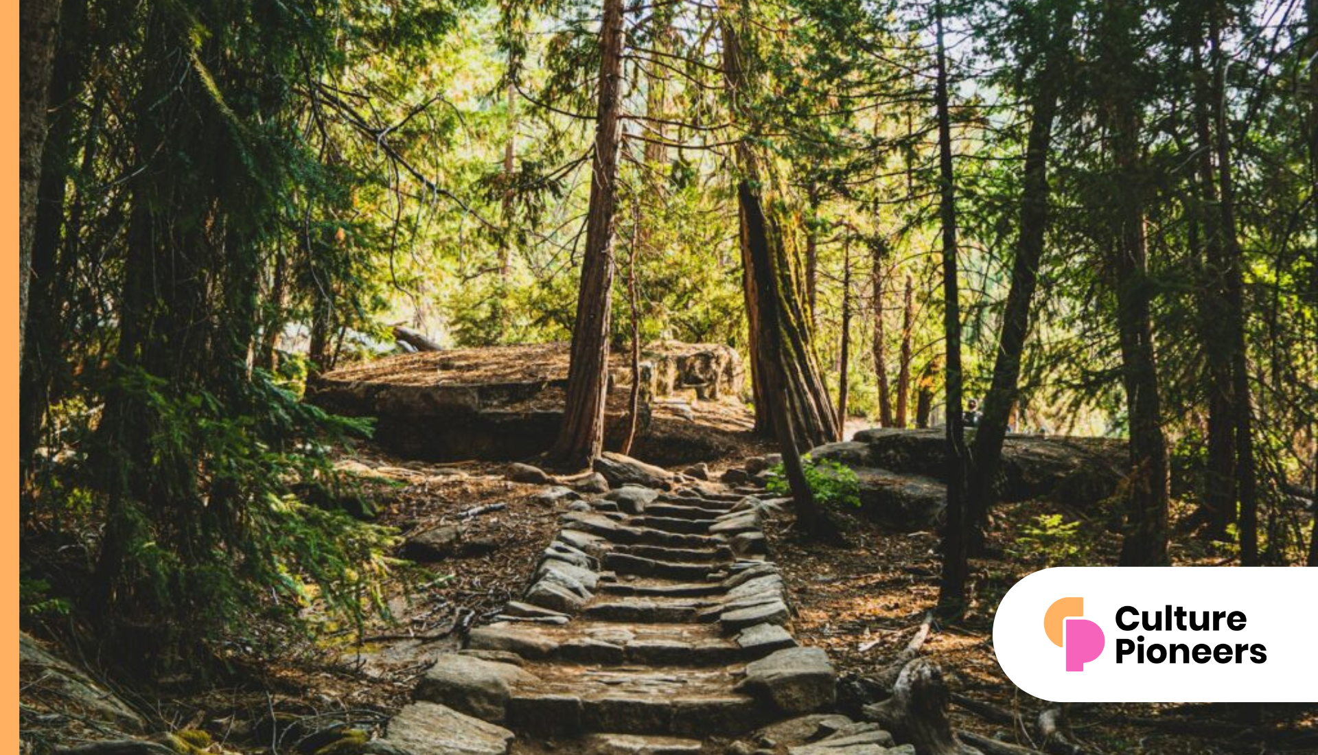 Navigating the hub of culture: a comprehensive guide to the lincoln center map