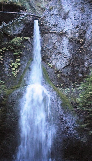 Photo by H.S. Cooper ©