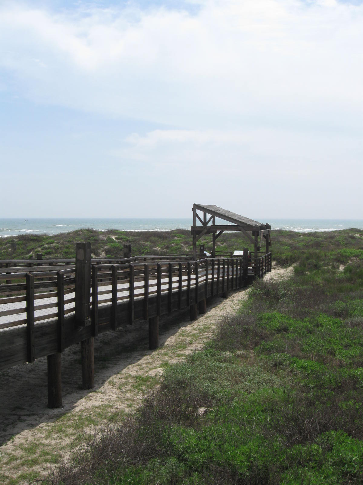 Photo by H.S. Cooper ©