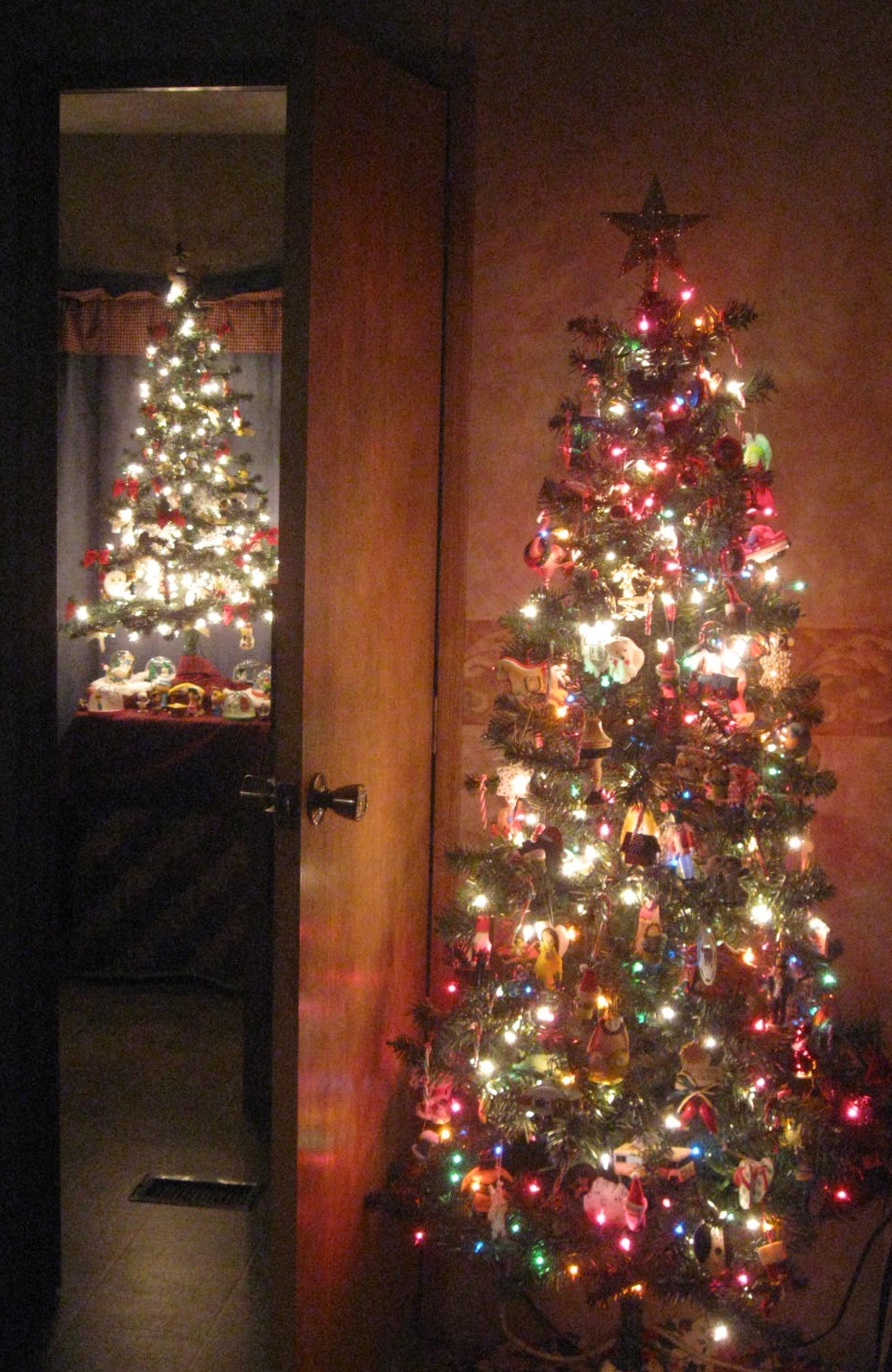 Photo by H.S. Cooper ©