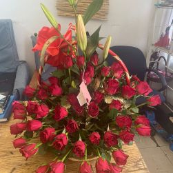 WhatsApp Image 2023-01-05 at 12.36.38 AM (1) WhatsApp Image 2023-01-05 at 12.36.38 AM (1)