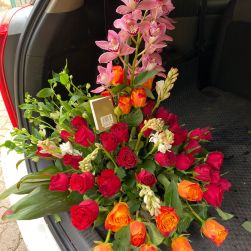 WhatsApp Image 2023-01-05 at 12.36.36 AM (1) WhatsApp Image 2023-01-05 at 12.36.36 AM (1)