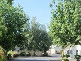 Vista Ridge Homestead Property Management