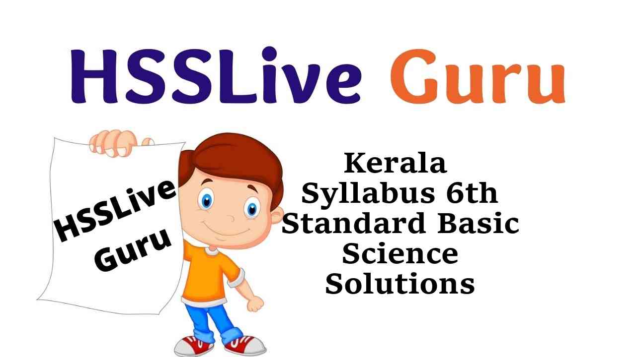 Kerala Syllabus 6th Standard Basic Science Solutions Guide