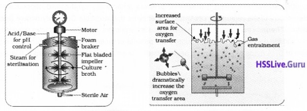 Plus Two Botany Notes Chapter 4 Biotechnology Principles and Processes 7