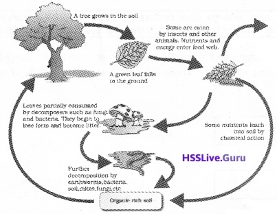 Sslc History Chapter 1 Notes Kerala Syllabus