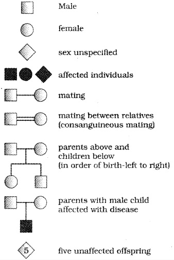 Plus Two Zoology Notes Chapter 3 Principles of Inheritance and Variation 14