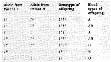 Plus Two Zoology Notes Chapter 3 Principles of Inheritance and Variation 8