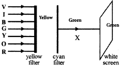 Kerala Syllabus 10th Standard Physics Solutions Chapter 6 Vision and the World of Colours image 20