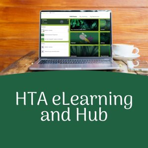 Hta Home - Best Mountain Illustrations in HD