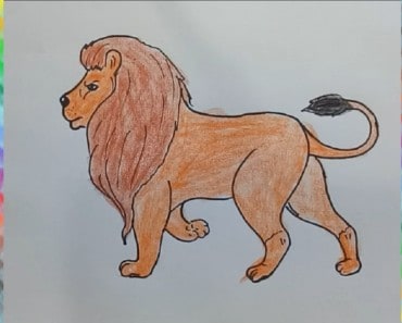 pics Easy Animal Drawing Colour draw a lion and colour it archives