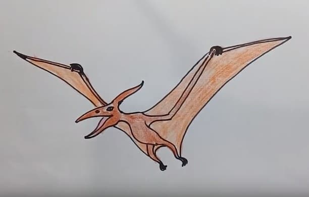 images Cartoon Pterodactyl Drawing Easy how to draw step by step