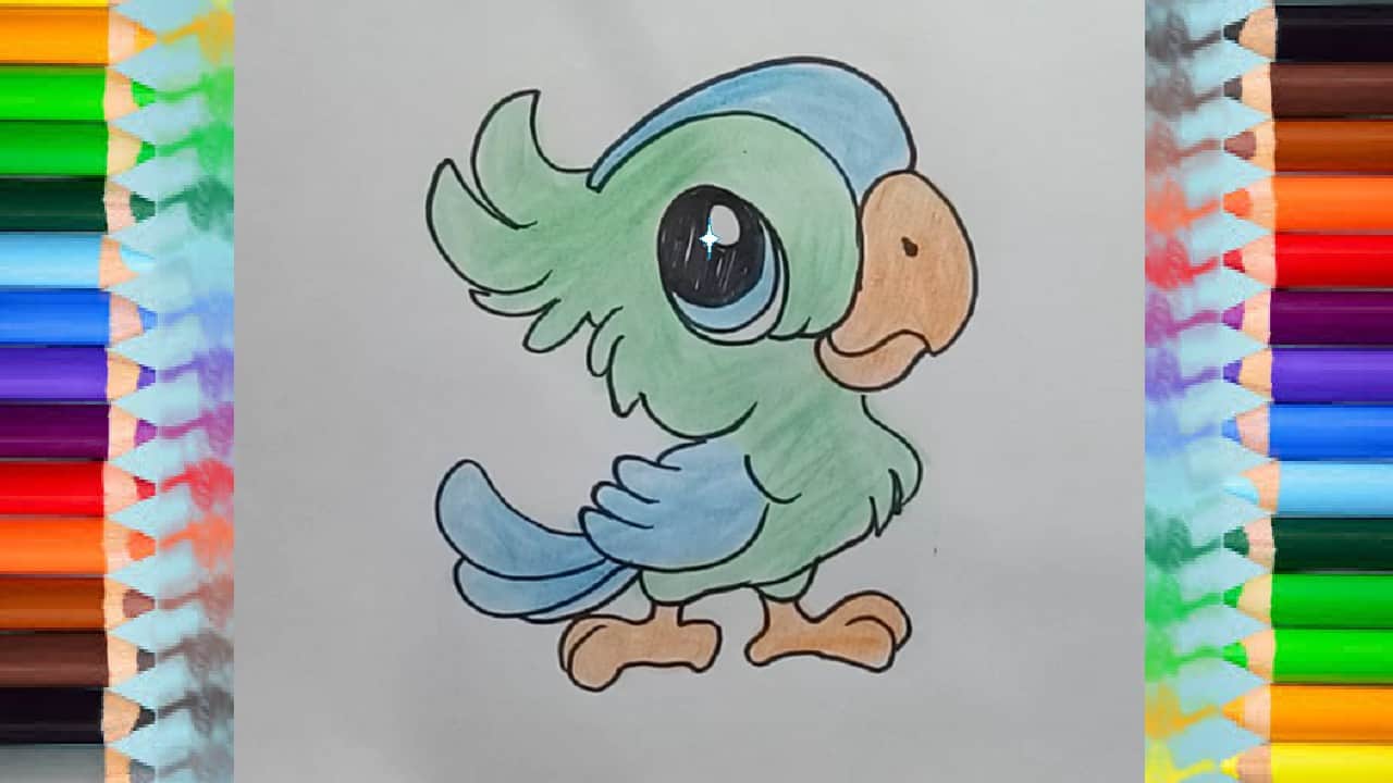 images Cartoon How To Draw A Cute Bird how to draw step by step