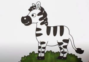 photo Step Easy Simple Zebra Drawing how to draw step by step
