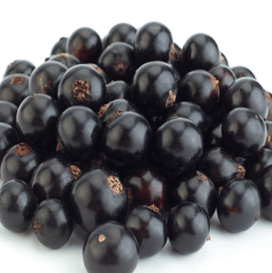 Blackcurrant Essential Oils