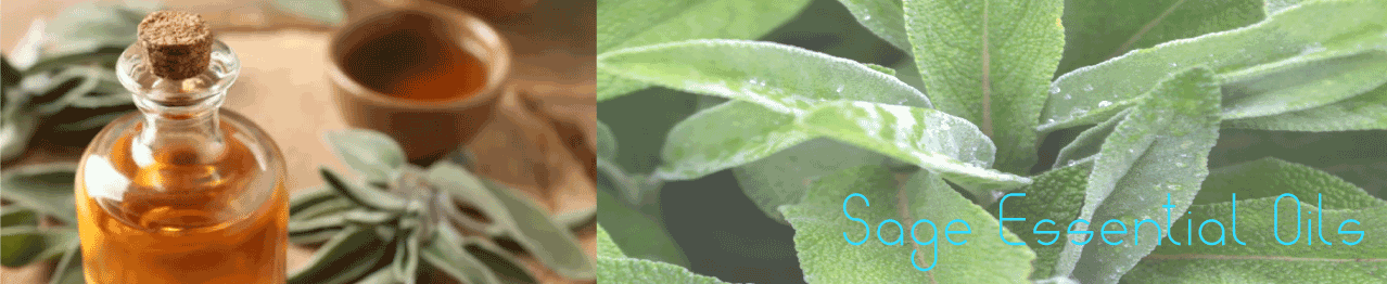 Sage - Essential Oils