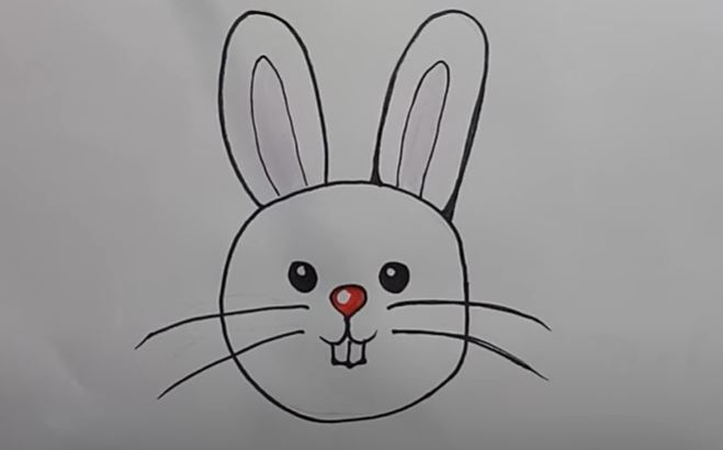 Lots of skinny lines will add a kind of furry texture. How To Draw A Rabbit Face Easy Htfunny