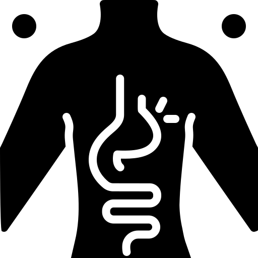 body.webp