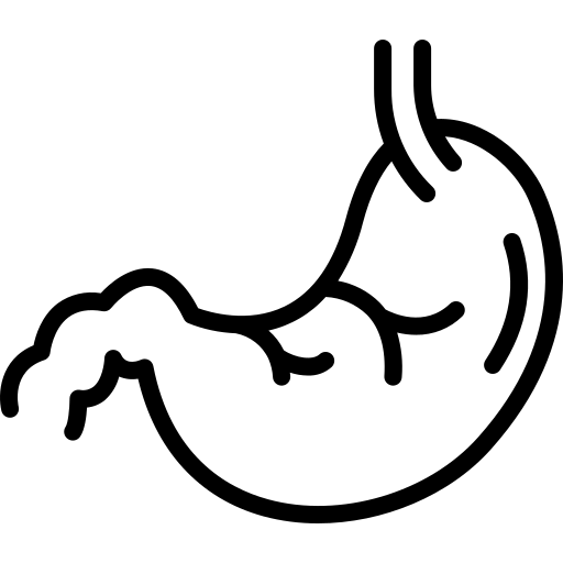 internal