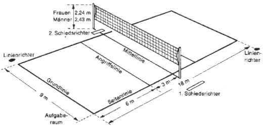 Volleyball Aufstellung : Allgemeines