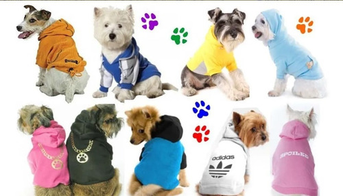 Moldes De Modelos De Ropa Para Perros Envio X Email Mercado Libre