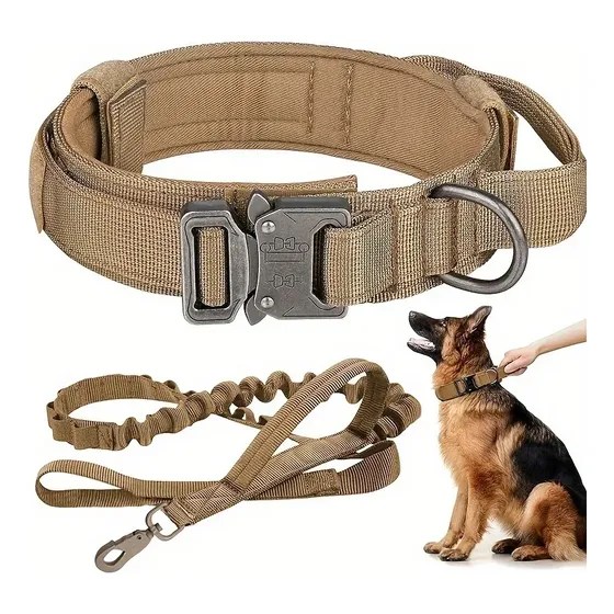 Correa de perro resistente