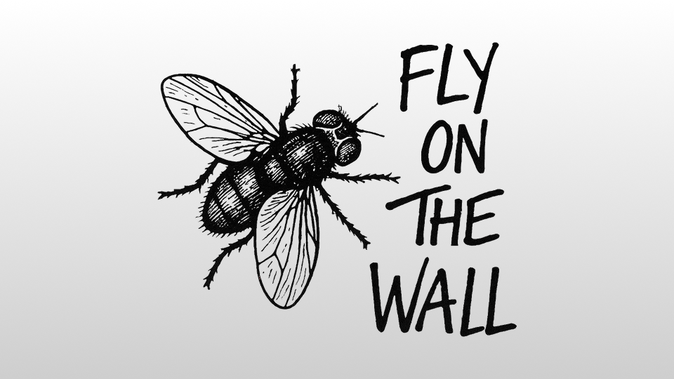 Fly on the Wall