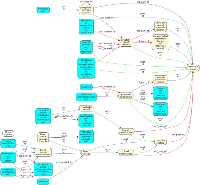 Github Hubmapconsortium Ccf Validation Tools Hra Asct B Validation - Amazing Retina Abstract Pictures | Free Download