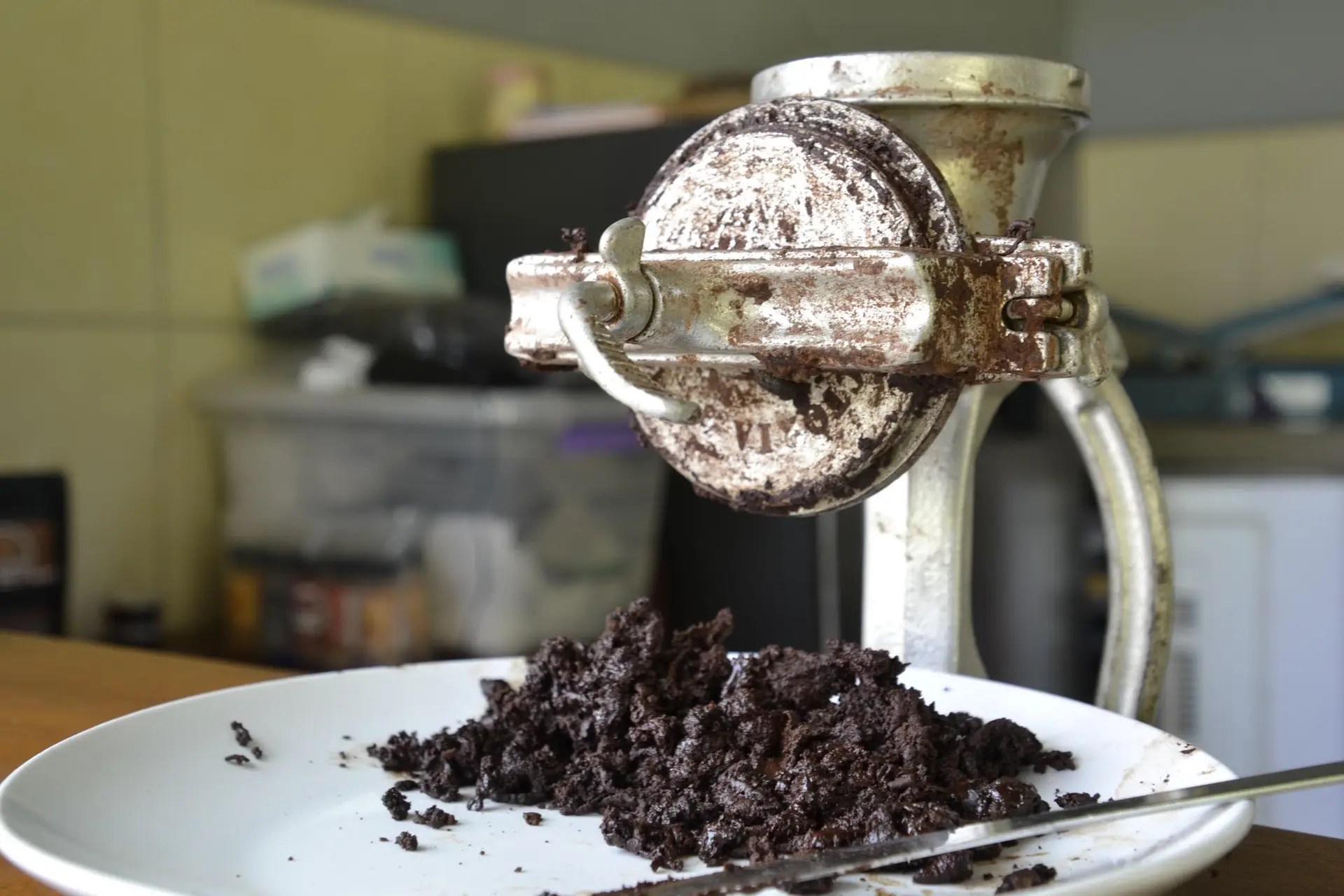 Finca El Rocío Quepos, best Coffee, Chocolate & Spice Farm Tour