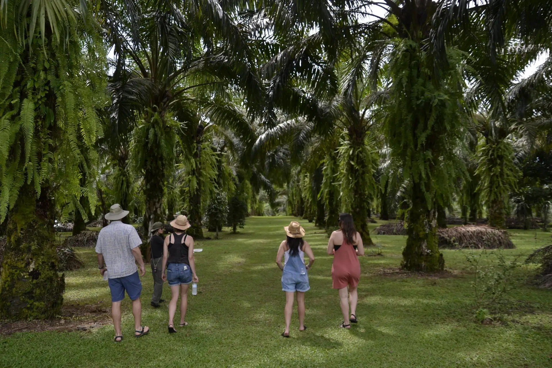 Finca El Rocio Quepos