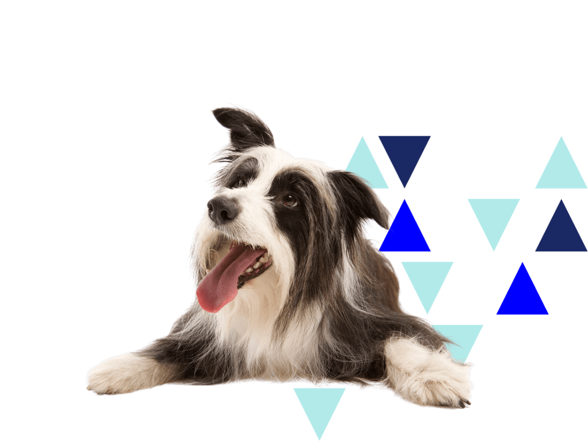 No proper establishment and lack of care for employees from higher ups. Veterinarian Reviews In Sumter Nc 29105 Hudson Veterinary Hospital