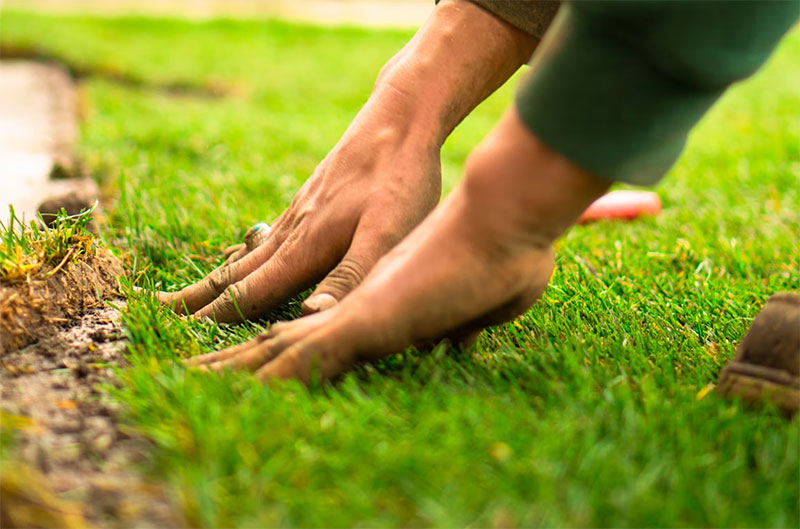 Cost-Efficient Options for Maintaining a Clean Landscape