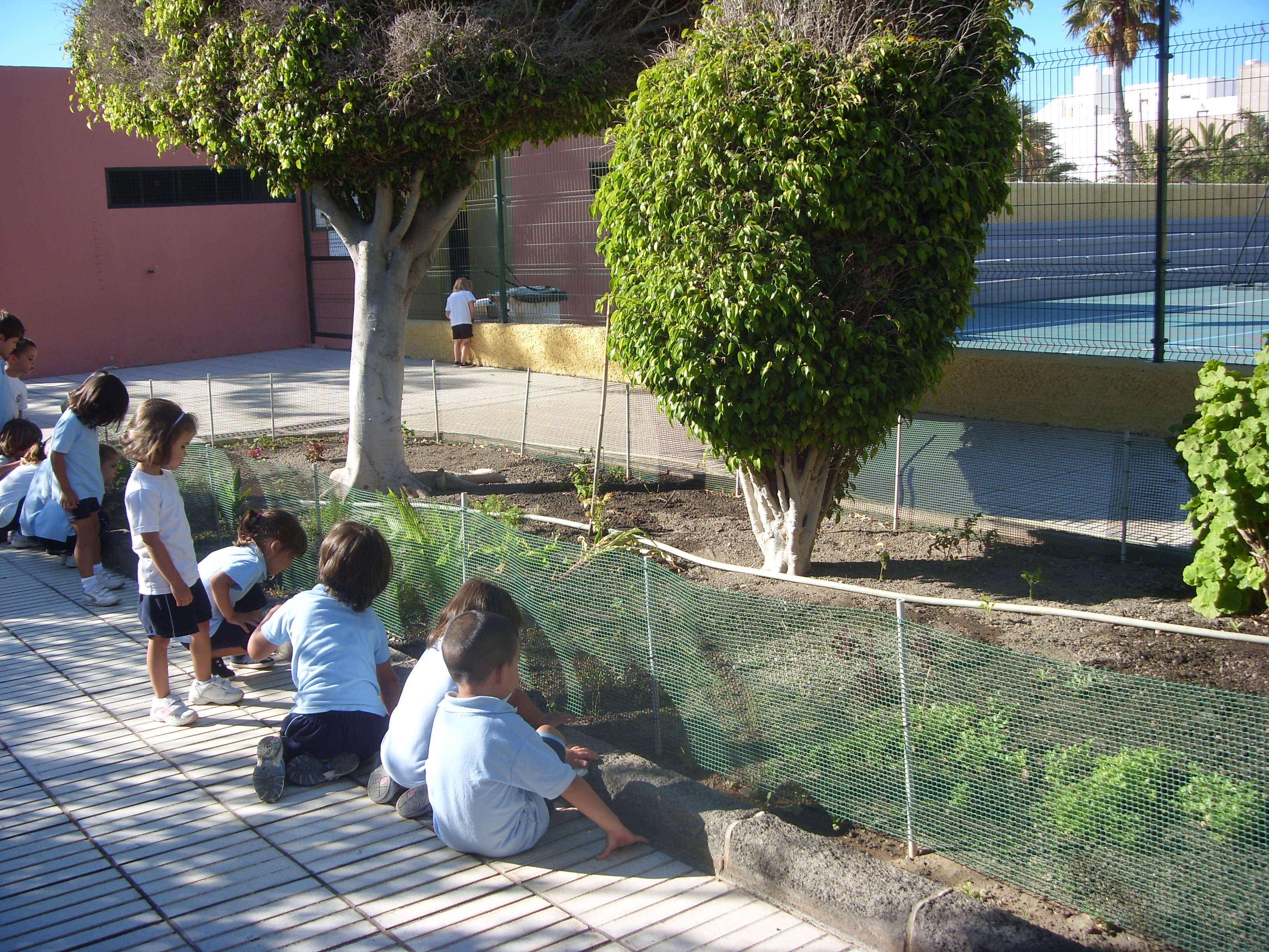 Actividades_1