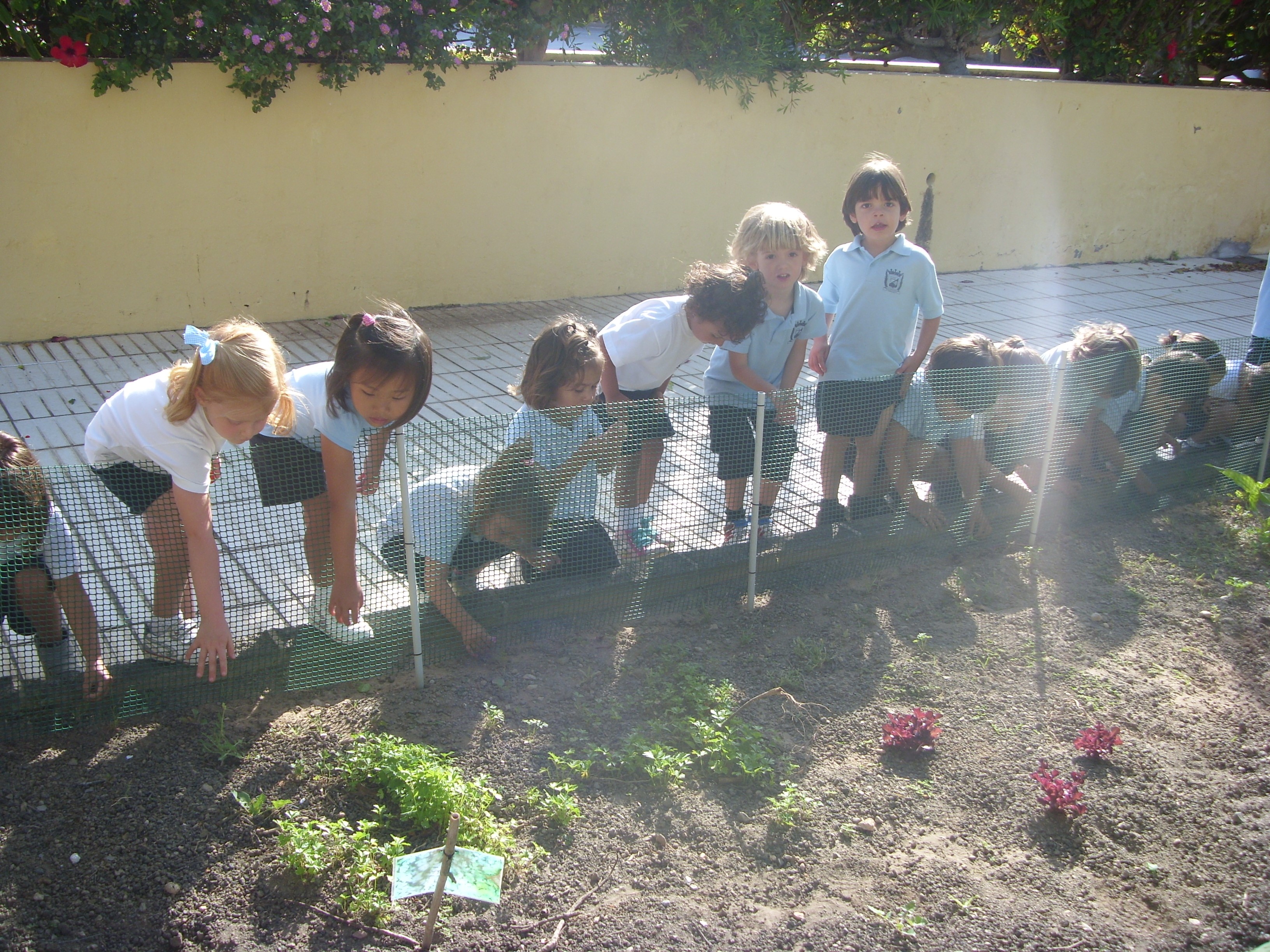 Actividades_3