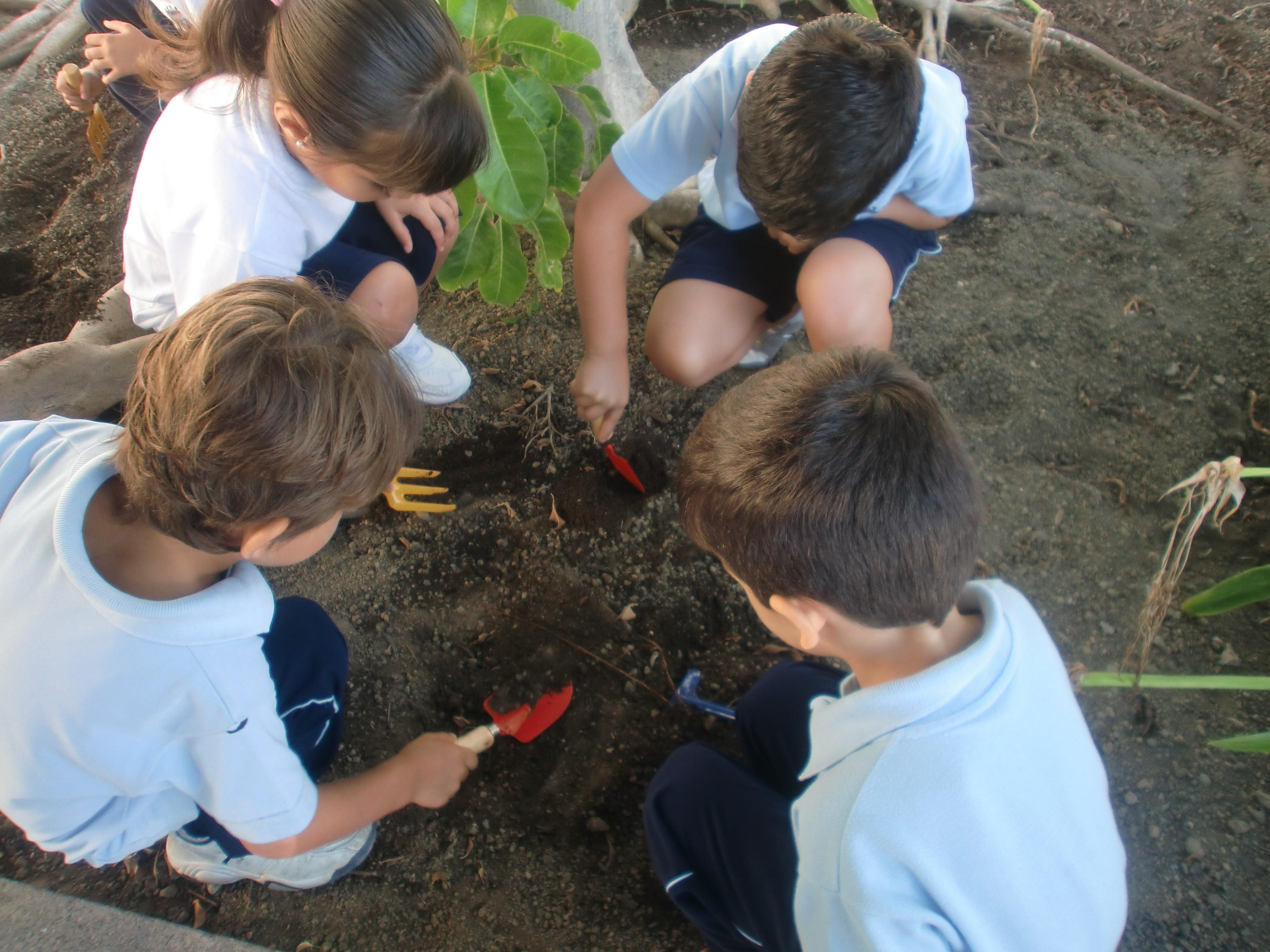 Actividades_4