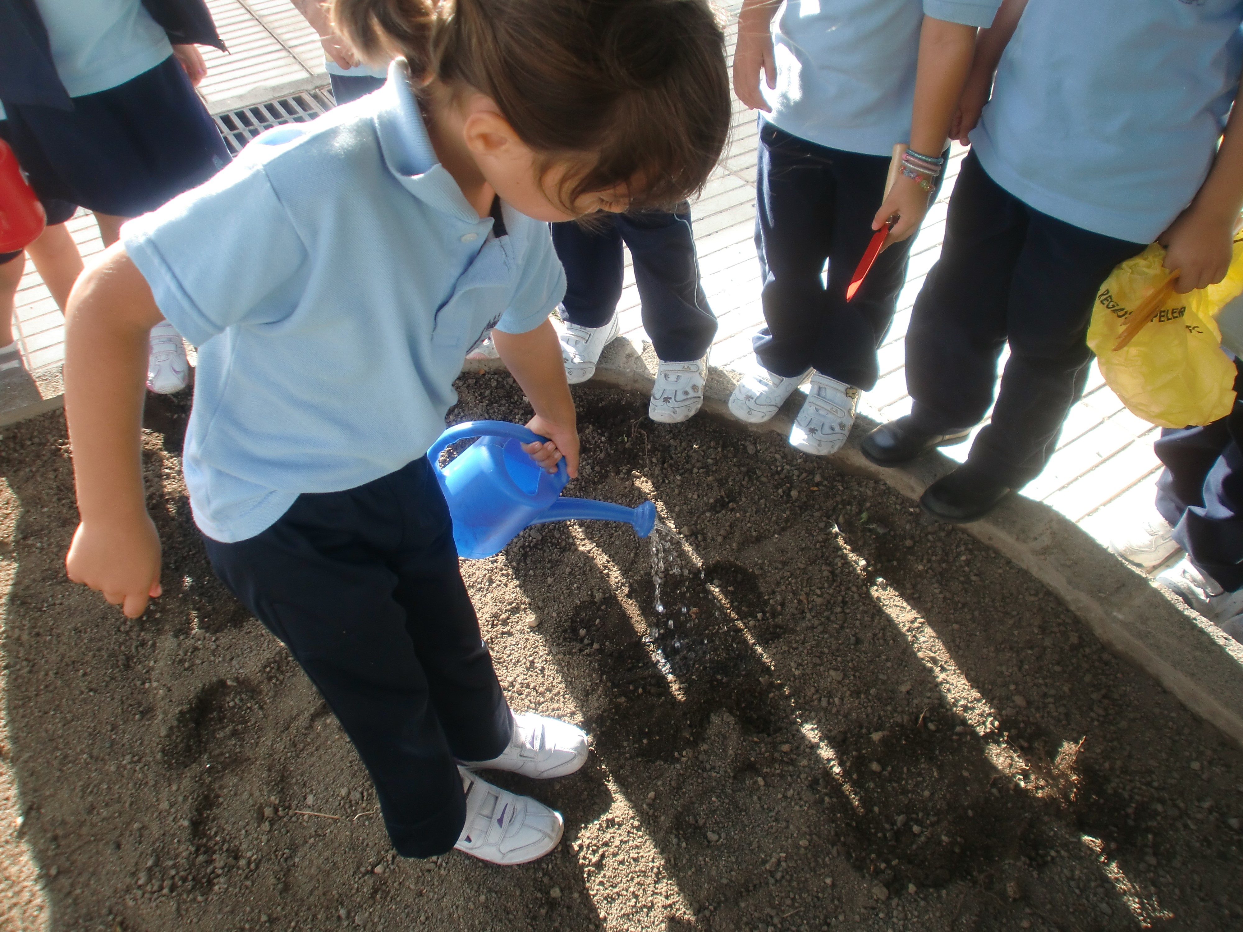 Actividades_6