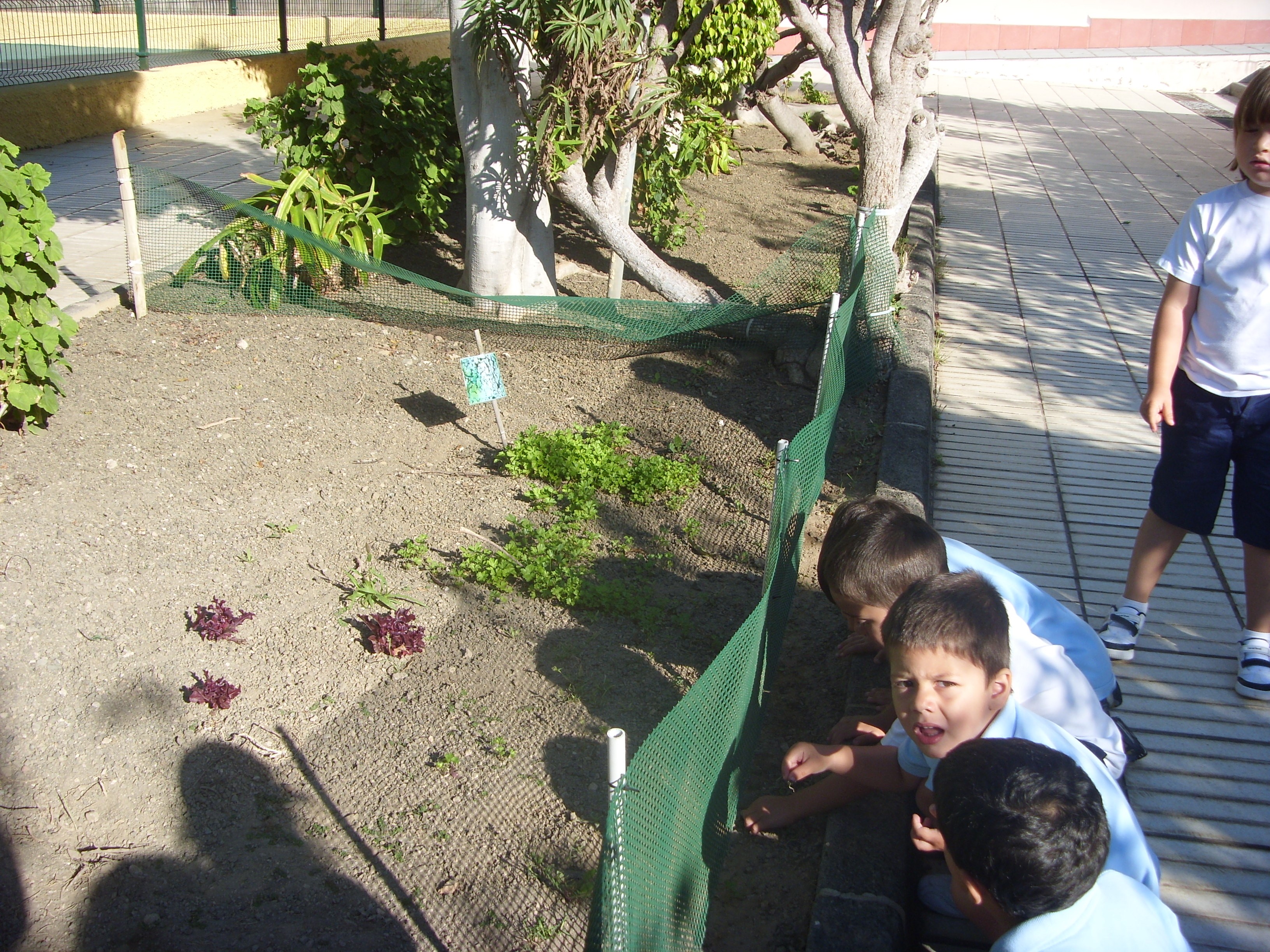 Actividades_7
